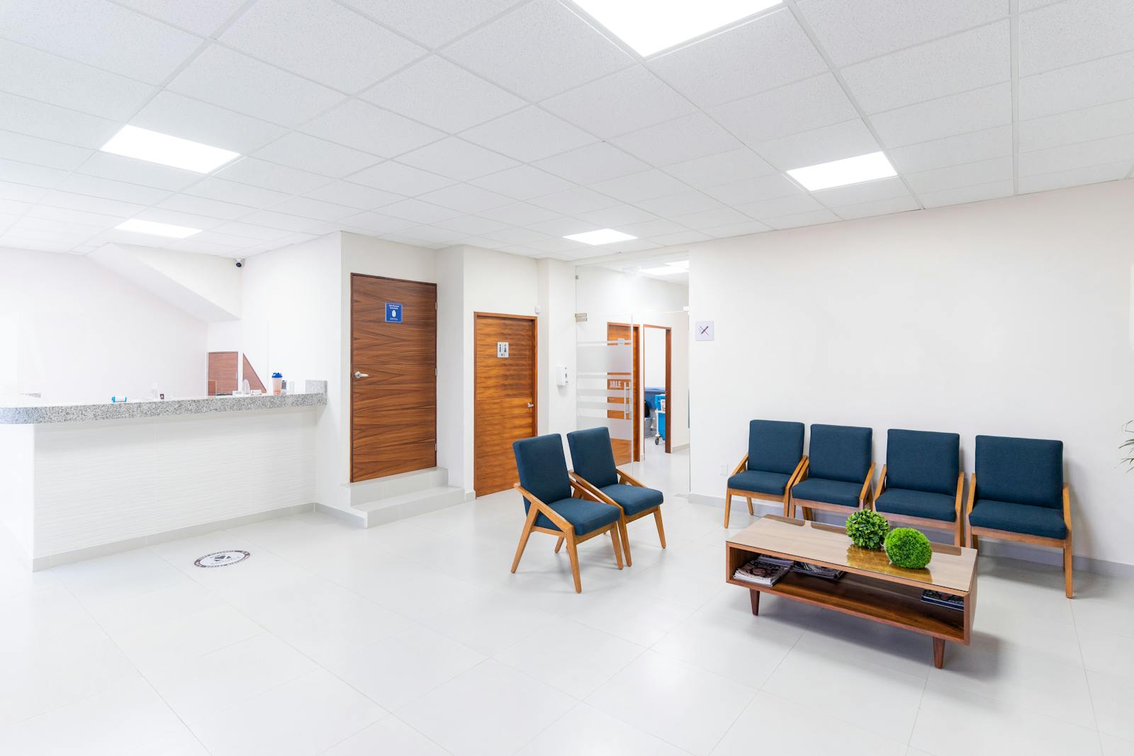 What Are the Main Mental Health Services Available in the Philippines?